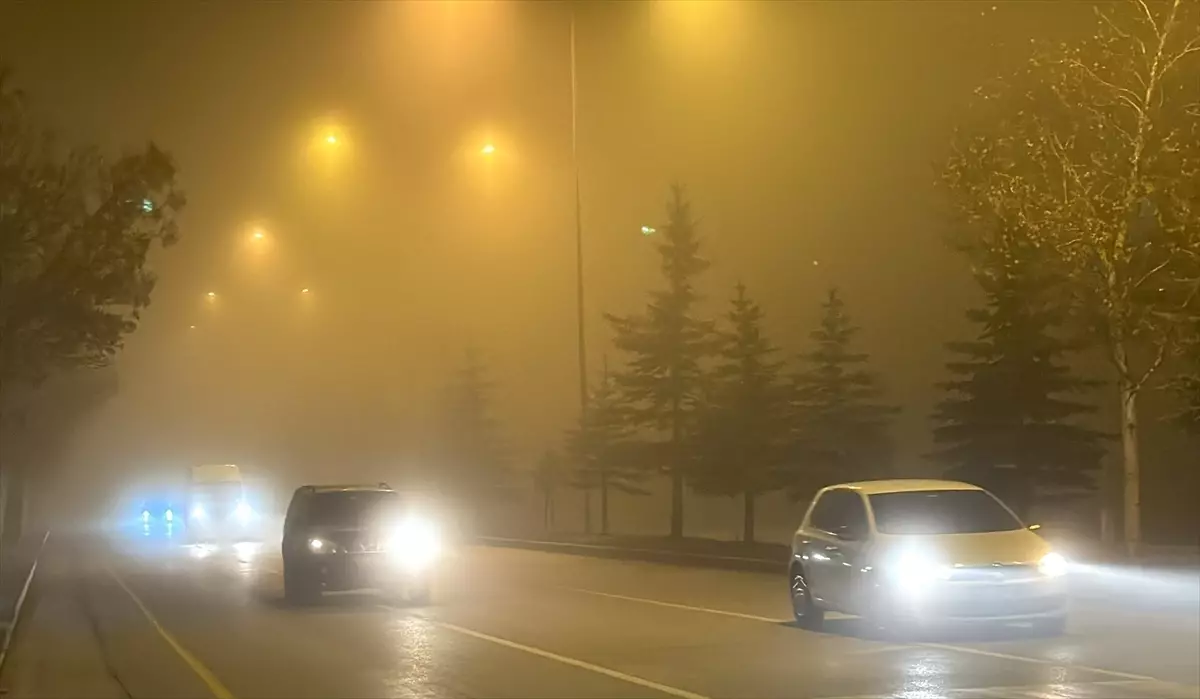 Erzurum’da Soğuk Hava ve Yoğun Sis