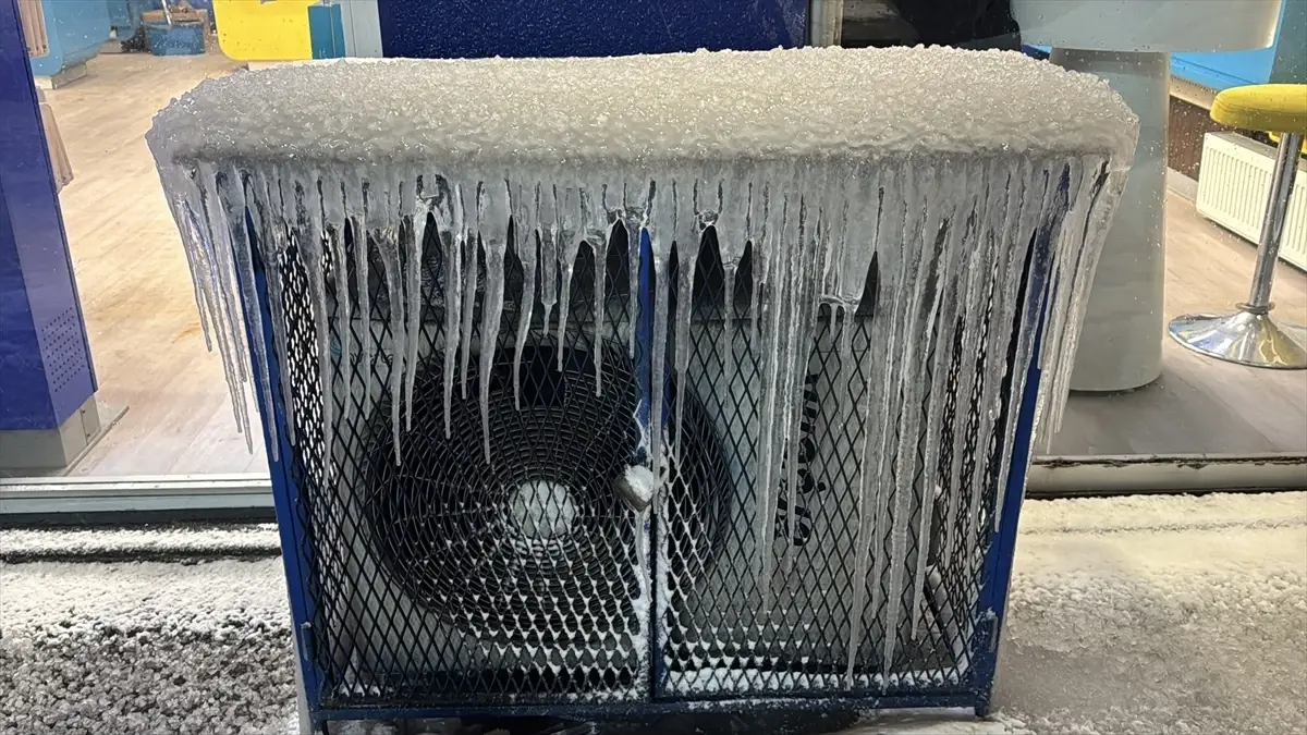 Erzurum’da Kar Yağışı Hayatı Olumsuz Etkiliyor