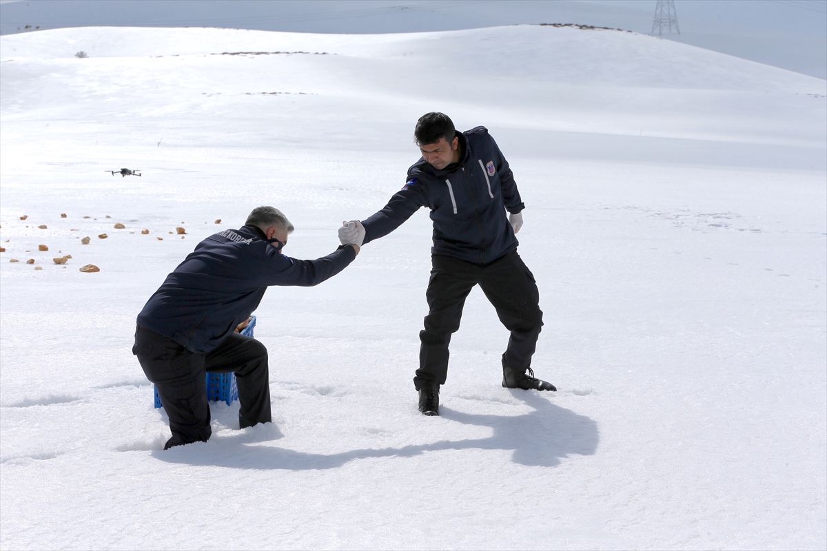 Yaban Hayvanlarına Destek Projesi